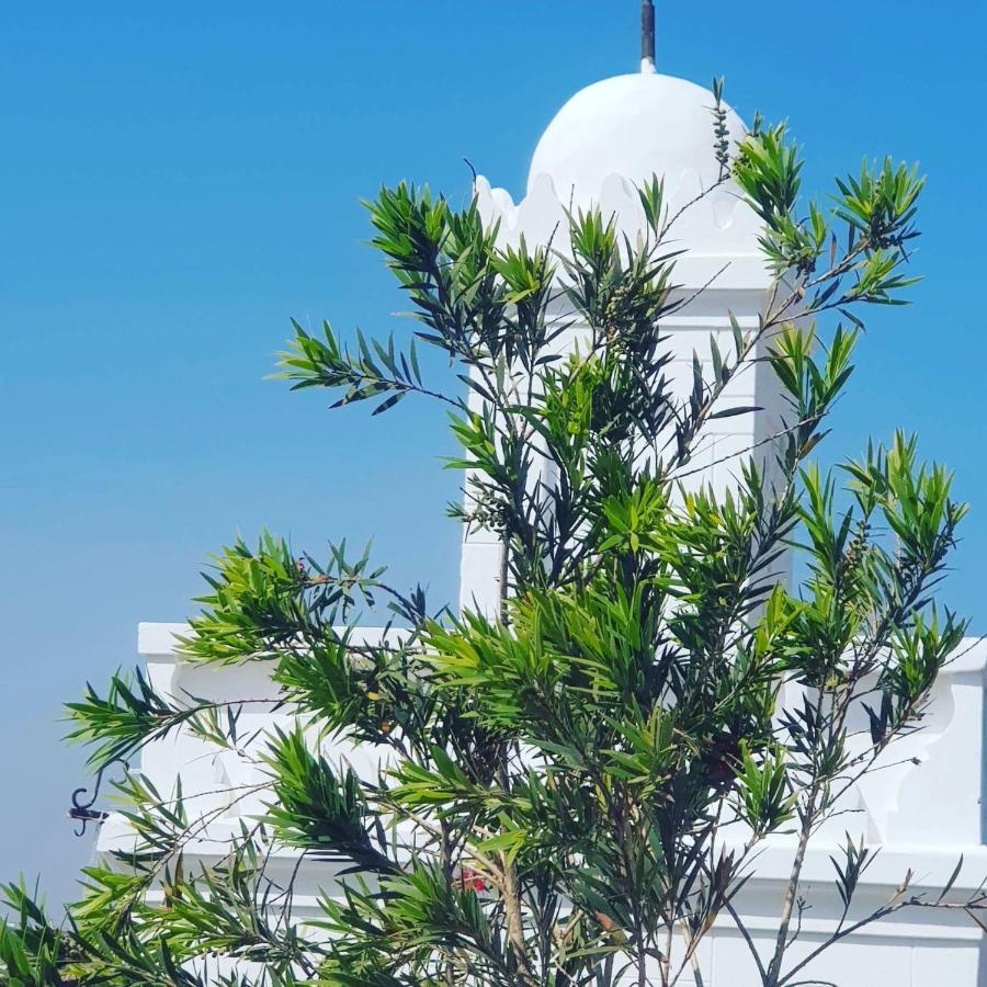 Riad Thamayna Salé Dış mekan fotoğraf